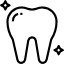 tooth